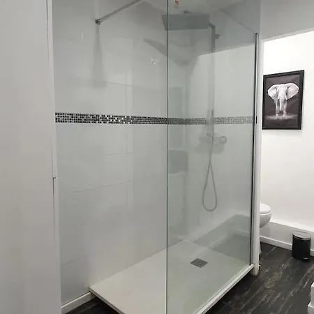 Magnifique Cocon A Lomme * リール