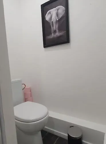 Magnifique Cocon A Lomme Apartman *